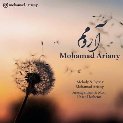 محمد آریانی آرومم